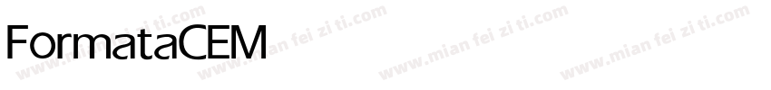 FormataCE Medium字体转换